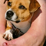 Программы лояльности казино без депозита для начинающих игроков