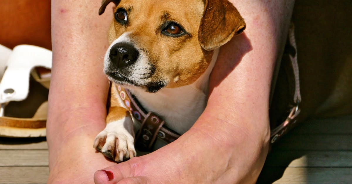 Программы лояльности казино без депозита для начинающих игроков