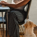 Игровой экран слота The Dog House Megaways с барабанами и символами